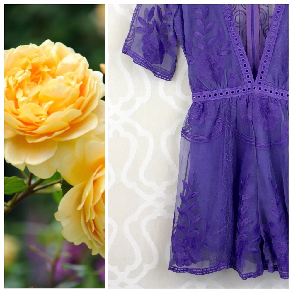 Amethyst Lace Romper - Picture 6 of 8